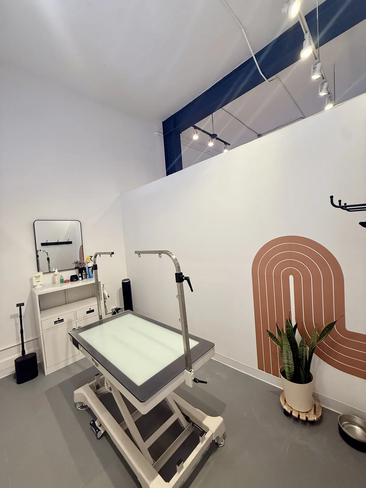 An arched private grooming suite with a professional adjustable table at Snout Studios